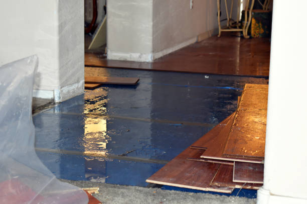 Professional Water Damage Restoration technician working in Westport Point, MA